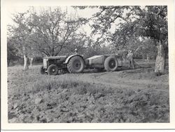 Joe J. Perry on tractor and brother Al Focha at the Twin Pines apple ranch operating their new power sprayer, April, 1945