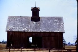 Old barn on West College Avenue, Santa Rosa, California, 1979