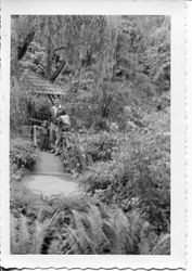 Donald Hallberg and one of his daughters in a park, about early 1950s