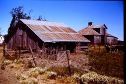 Barn at Stone Ranch in Occidental, California, 1980