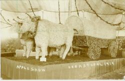 1914 Gravenstein Apple Show display of two oxen pulling covered wagon--all made of whole and dried apples