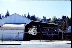 Rear of Columbo Lumber Company on South Main Street at Palm Avenue and Petaluma Avenue in Sebastopol, California, April 1978