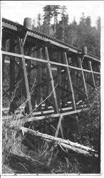 Northwestern Pacific (NWP) narrow gauge trestle near Occidental, California