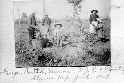 F. J. Riddell, Blanche Riddell and three others identified as George, Bertha and Vernon at the Slusser Hop Yard near Forestville, 1909