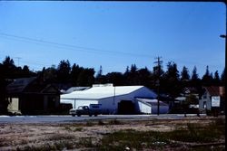 Rear of Columbo Lumber Company on South Main Street at Palm Avenue and Petaluma Avenue in Sebastopol, California, April 1978