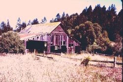 Unidentified barn, 1981