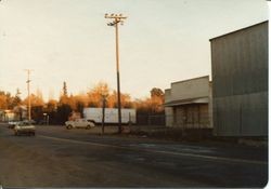 Hallberg Canning Corporation in Graton fruit receiving area, 1979