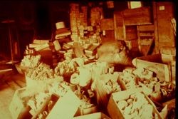 Boxes of Burbank plant bulbs, some wrapped in paper in wooden boxes, some in burlap bags