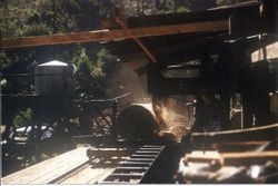 Chenoweth Sawmill on the Chenoweth Ranch on Green Valley Road west of Graton, California