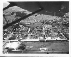 1950 aerial view of O. A. Hallberg & Sons processing plant and Cold Storage building in Graton