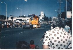 Float in the shape of a yellow boot or shoe being pulled by a car past the Safeway sign in the Gravenstein Apple Blossom Parade on Main Street, Sebastopol, California, 1971
