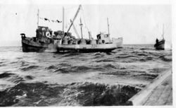 Fishing boats on Bodega Bay, about 1910