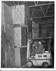 Donald O. Hallberg on forklift in the cannery warehouse in the O. A. Hallberg & Sons Apple Products cannery in Graton, California, 1955