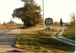 Hallberg Apple Farm roadside stand sign along Gravenstein Highway North (Highway 116), Sebastopol, California, 1979