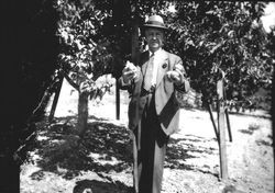 Alfred Hallberg standing in an apple orchard holding apples in both extended arms, 1930s