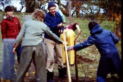 Jack Lebraun driving a stake for a fence to protect Burbank Plum plantings, 1983