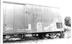 P&SR (Petaluma and Santa Rosa) railroad box car put in place behind the Sebastopol P&SR railroad depot that has become the West County Museum run by the Western Sonoma County Historical Society