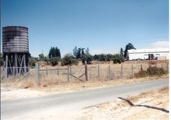 Ripping up the Hallberg Gravenstein apple orchard off Peachland and 116 in Graton in 1999