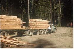 Two trucks loaded for delivery at the Chenoweth Ranch on Green Valley Road west of Graton, California