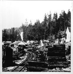 Streeten's Mill in Camp Meeker, California, seen through the trees, 1883