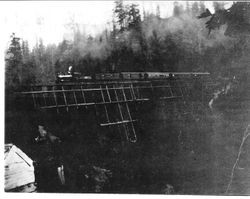 Narrow gauge railroad train on trestle bridge in Occidental