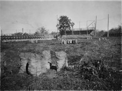 Baseball field near the Pellini property near the Laguna off of Highway 12 and Morris Street