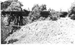 Wade Sturgeon sitting on the narrow gauge railroad trestle north of Camp Meeker, about 1900