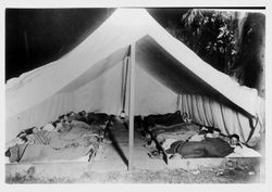 Thomas E. Barlow's berry pickers from San Francisco bedded down in tents at the Barlow Ranch, about 1900