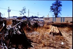 Ford Dealership in Sebastopol--sign in background and Analy Auto Parts and Machine Shop 1970 on Sebastopol Avenue