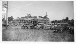 Sebastopol Cooperative Cannery drier, September 3, 1944