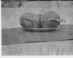 Two apples on a plate with tape measures around each showing circumferences