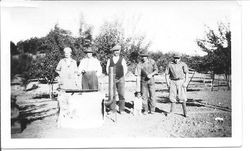 Members of the Whitham and Rosebrook families standing near an orchard, 1920s