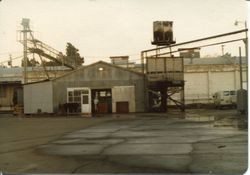 Hallberg Canning Corporation in Graton, 1979