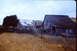 O'Farrell Ranch in Freestone, August 1979