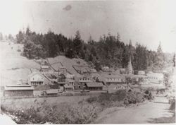 Early scene of Occidental, California looking east, photographed some time between 1886 and December 31, 1889