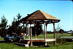 Construction of the gazebo at Brookhaven Park in Sebastopol, summer 1976