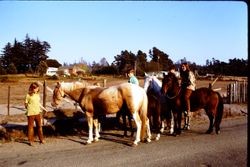 Group of kids and their horses in a rural area, 1970