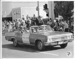 1997 Apple Blossom Parade down Main Street in Sebastopol--the "Hall of Fame" car celebrating the Pine Cone restaurant, one of the oldest businesses in Sebastopol, with owners Bea and Ernie Julius in the back seat