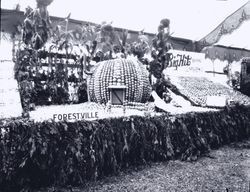 Gravenstein Apple Show display by Forestville with large pumpkin made of Gravenstein apples and G.S. Mascagni Company of Sebastopol display of "Fancy Big Hit Brand" Gravenstein apples, 1930s