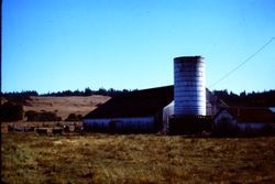 Trappe Ranch in Freestone, California, 1975