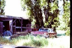 Jacobson's on Madrone Avenue in Cotati, California 1981