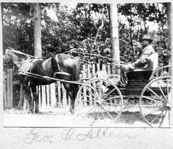 George Otis Allen rides in a one-horse carriage