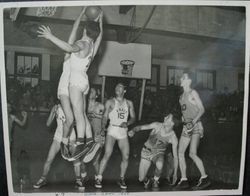 Analy High School Tigers basketball 1949--Analy vs Napa