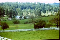 Village of Freestone, west of Sebastopol, California, 1983