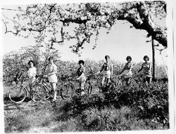 Young women in shorts in a Gravenstein apple orchard in bloom in Sebastopol, California, 1961