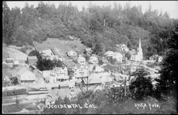 Panorama view of Occidental, California, about 1920