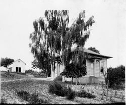 Close-up view of the Burbank Gold Ridge Experiment Farm cottage and barn, 1920s