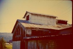 Unidentified barn, 1977