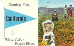 Greeting card with California theme showing field of California poppies in bloom with four people, postmarked Sebastopol, October 1913