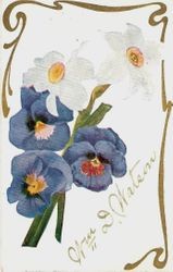 Postcard of daffodils and pansies